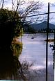 Back yard 4.5 feet water (Highway under water)