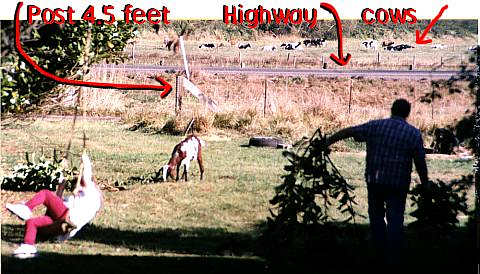 Grandpa starting a hedge pile to burn next year